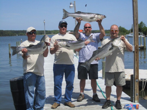 Fish The Bay Charters, LLC - Fishing Charter in Dameron, Maryland