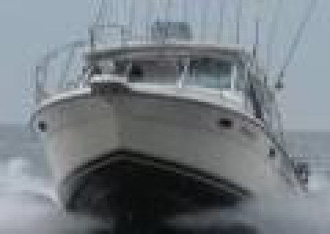 Visit Popeye Charters